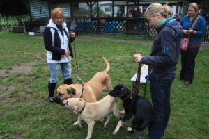 Antikdoggentreffen 2012
